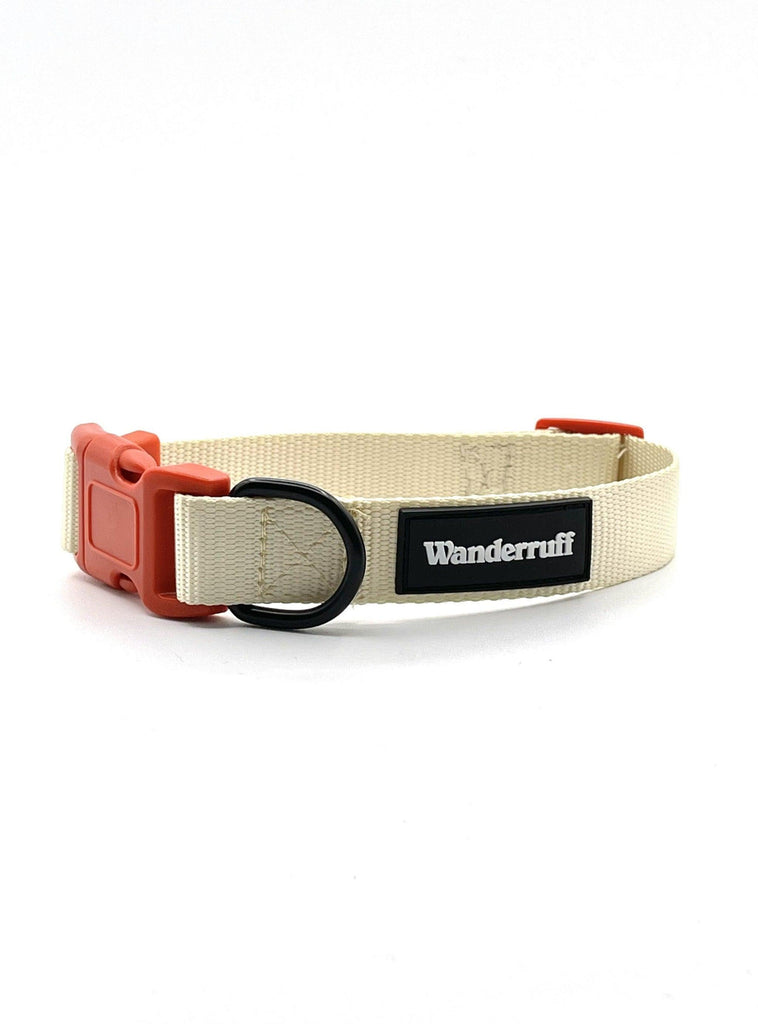 Coral 2024 dog collar